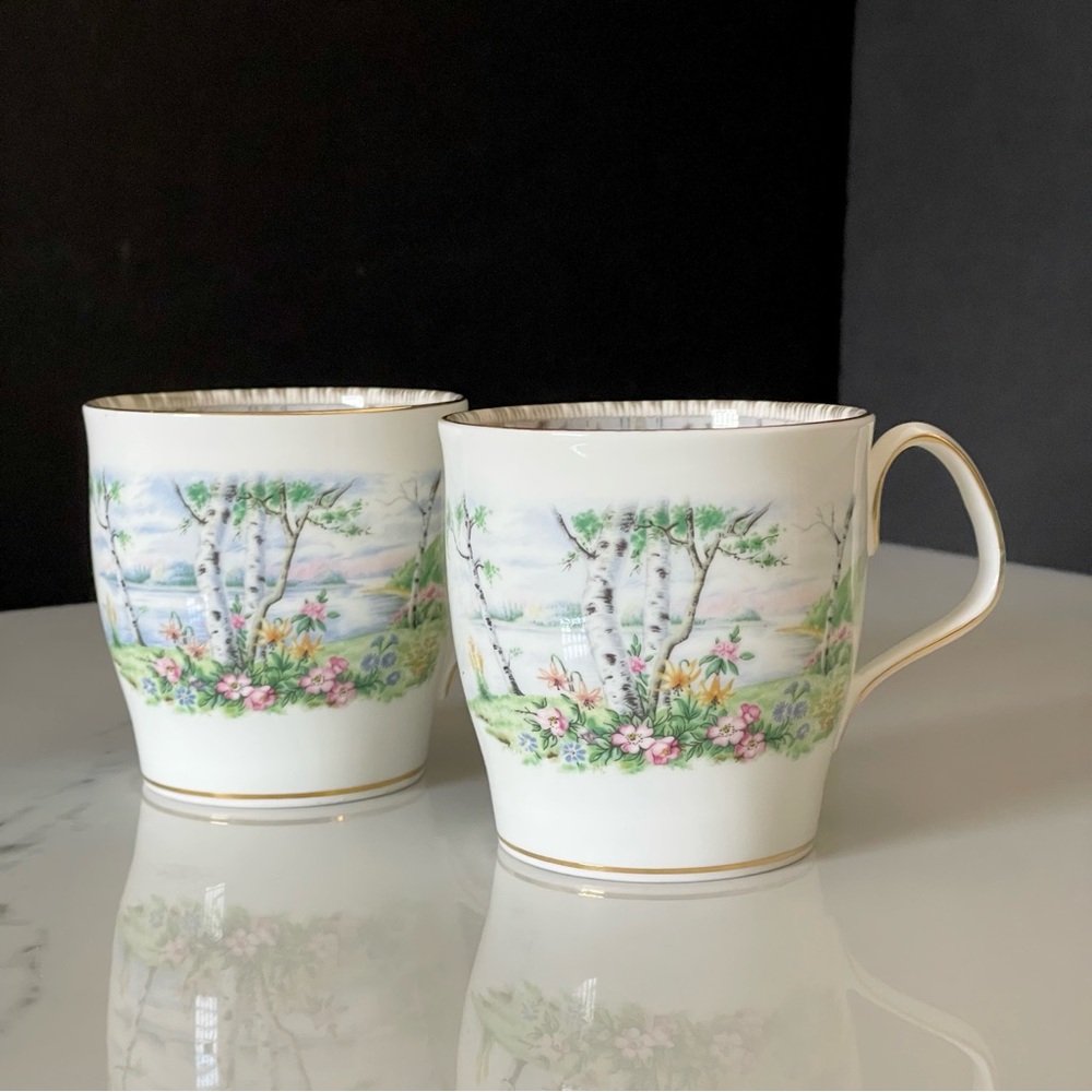 SET of 2 Mugs - Silver Birch by Royal Albert